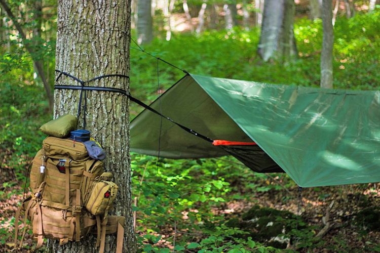 Bivouac bushcraft en forêt et en hamac ! 