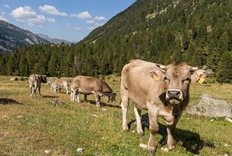 Randonnée sur les traces du pastoralisme