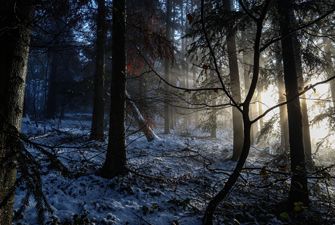 Escape Game Nature dans la neige