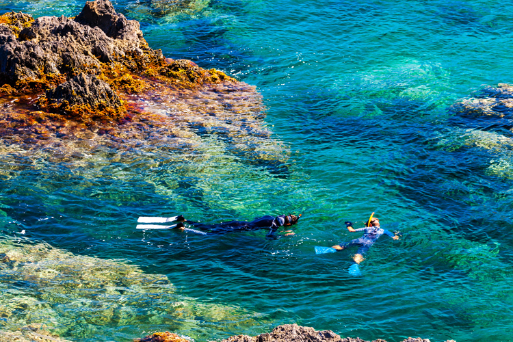 randonné palmée ou snorkeling à Argeles-Sur-Mer