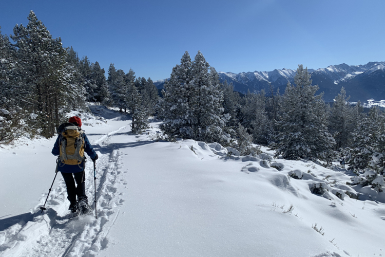 Séjour raquettes à neige sur le site des Bouillouses