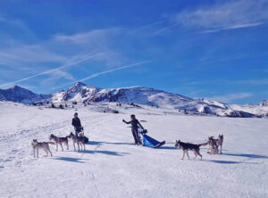 Balade avec chiens à Porte-Puymorens